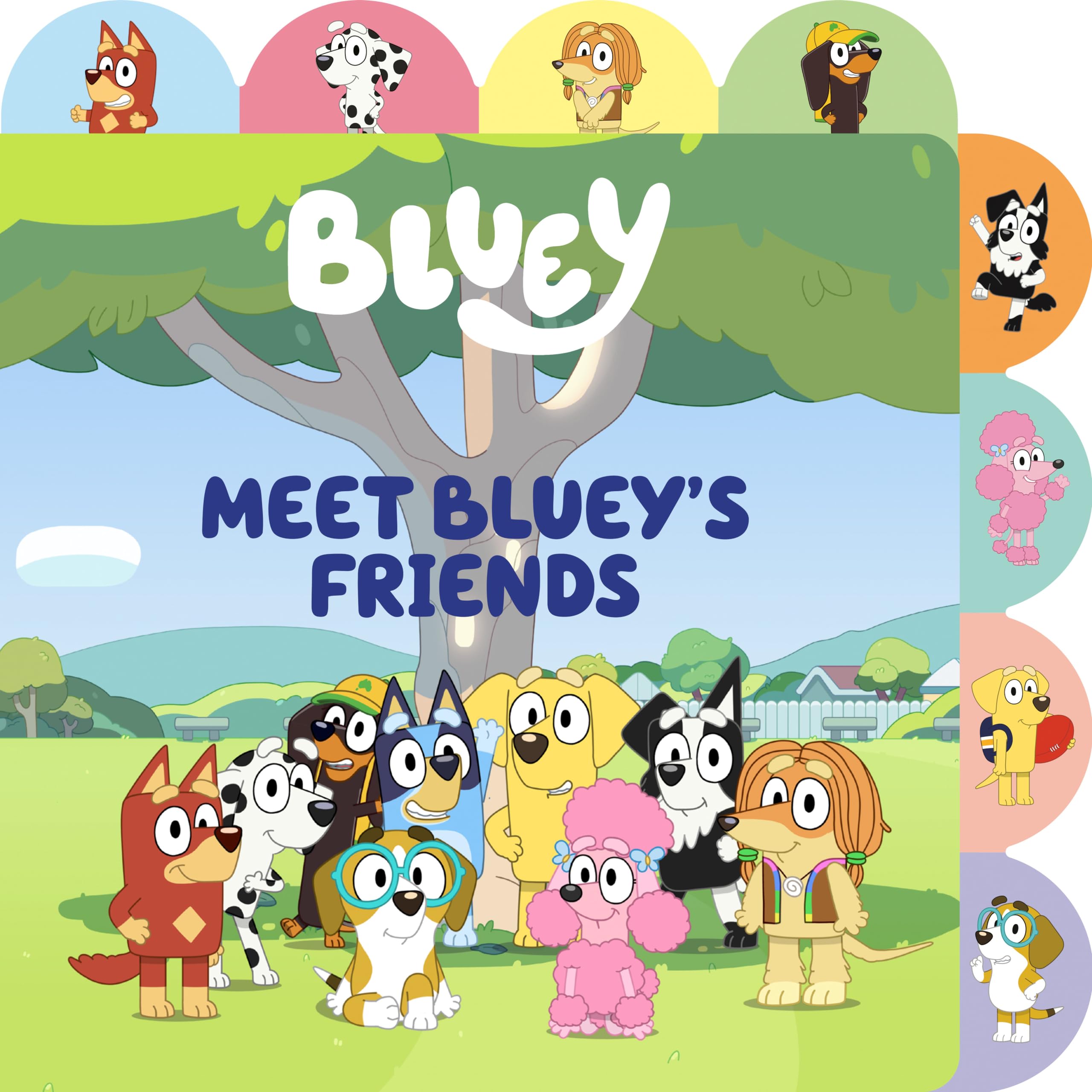 Meet Bluey's Friends: A Tabbed Board Book by Rusu, Meredith