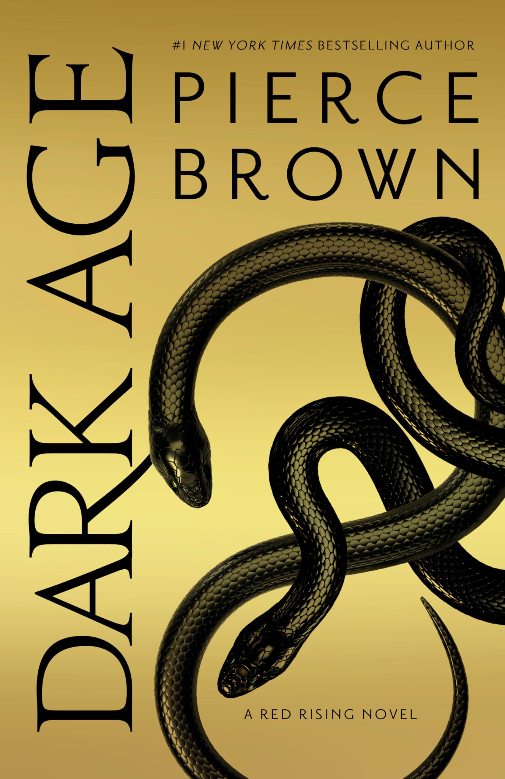 Dark Age by Brown, Pierce