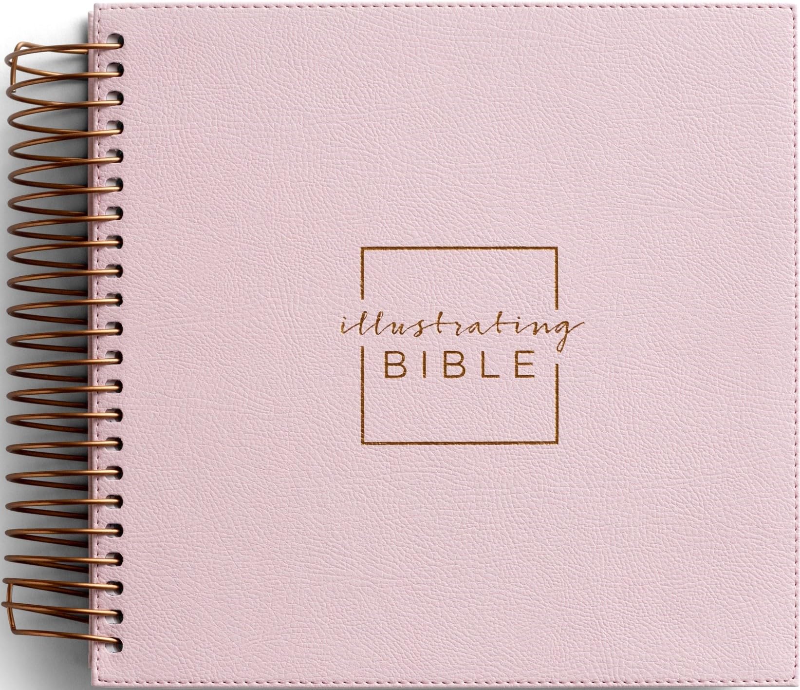 Illustrating Bible NIV Pink by Dayspring