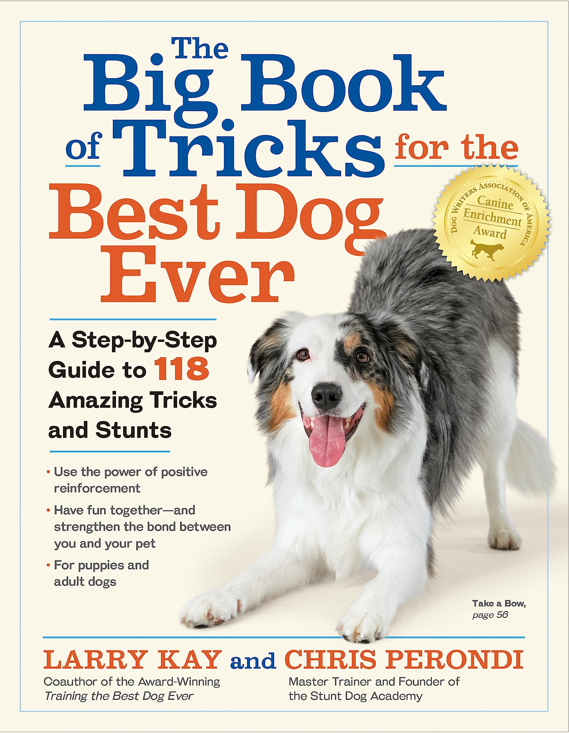 The Big Book of Tricks for the Best Dog Ever: A Step-By-Step Guide to 118 Amazing Tricks and Stunts by Kay, Larry