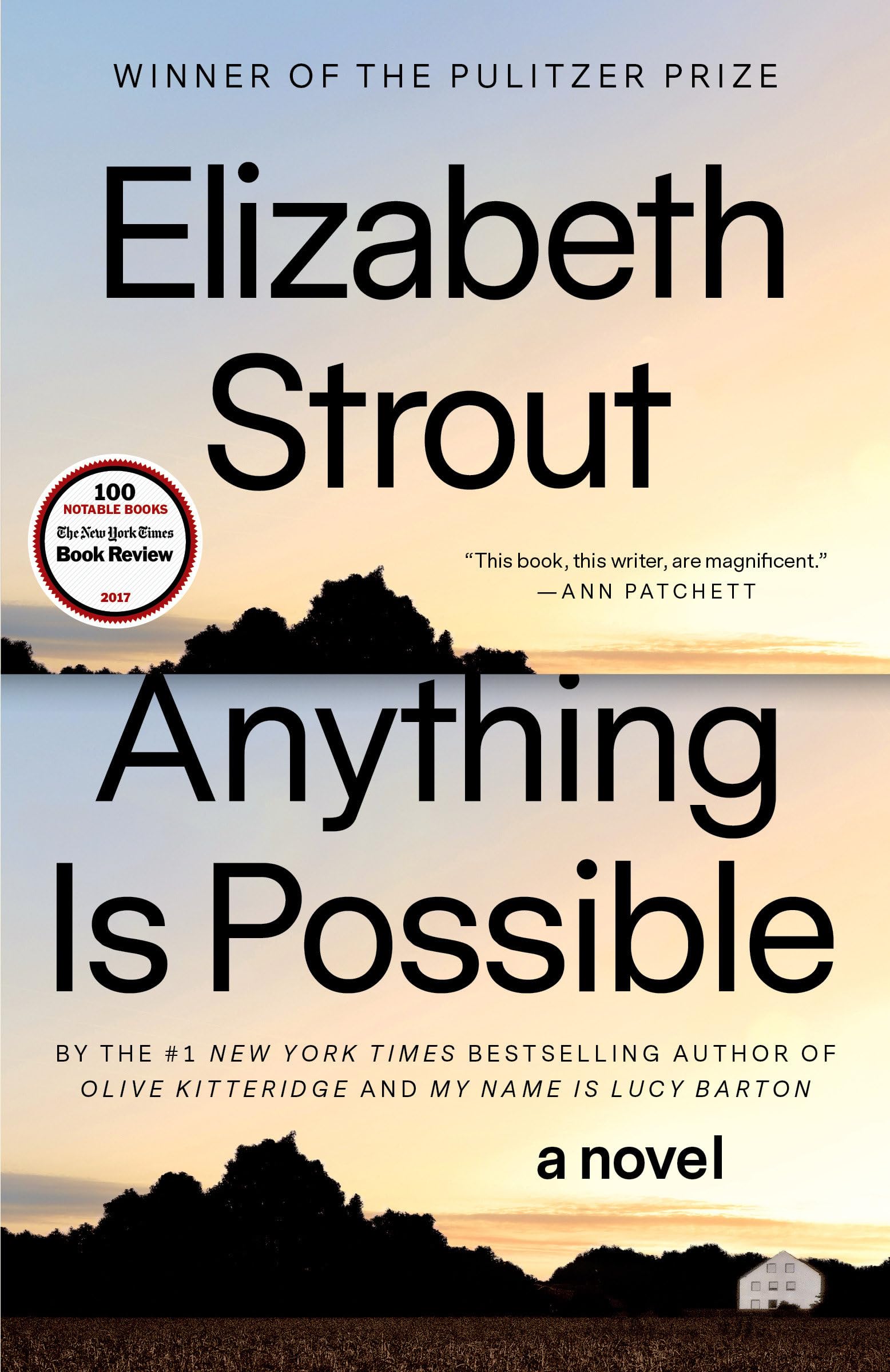 Anything Is Possible by Strout, Elizabeth