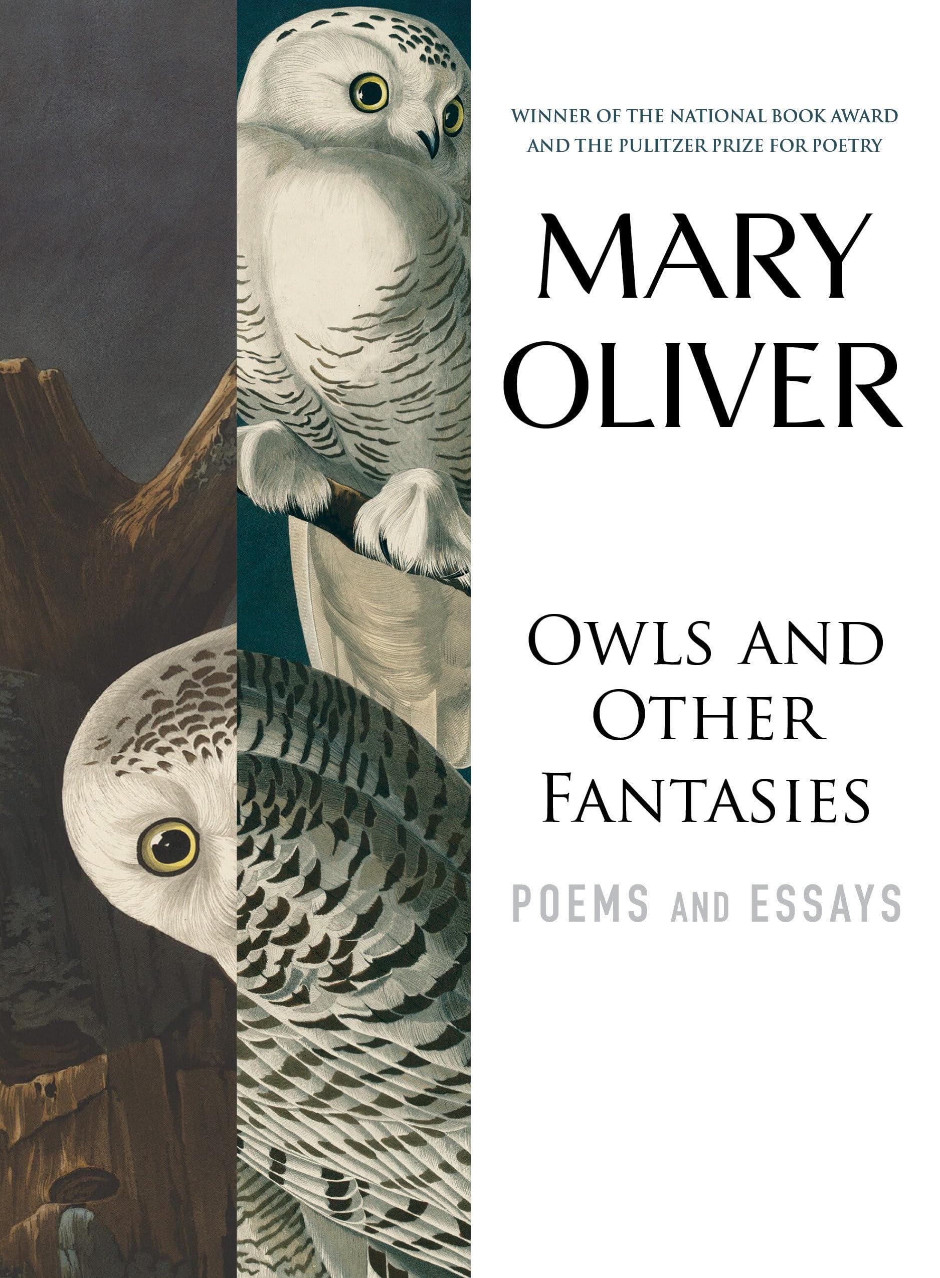 Owls and Other Fantasies: Poems and Essays by Oliver, Mary