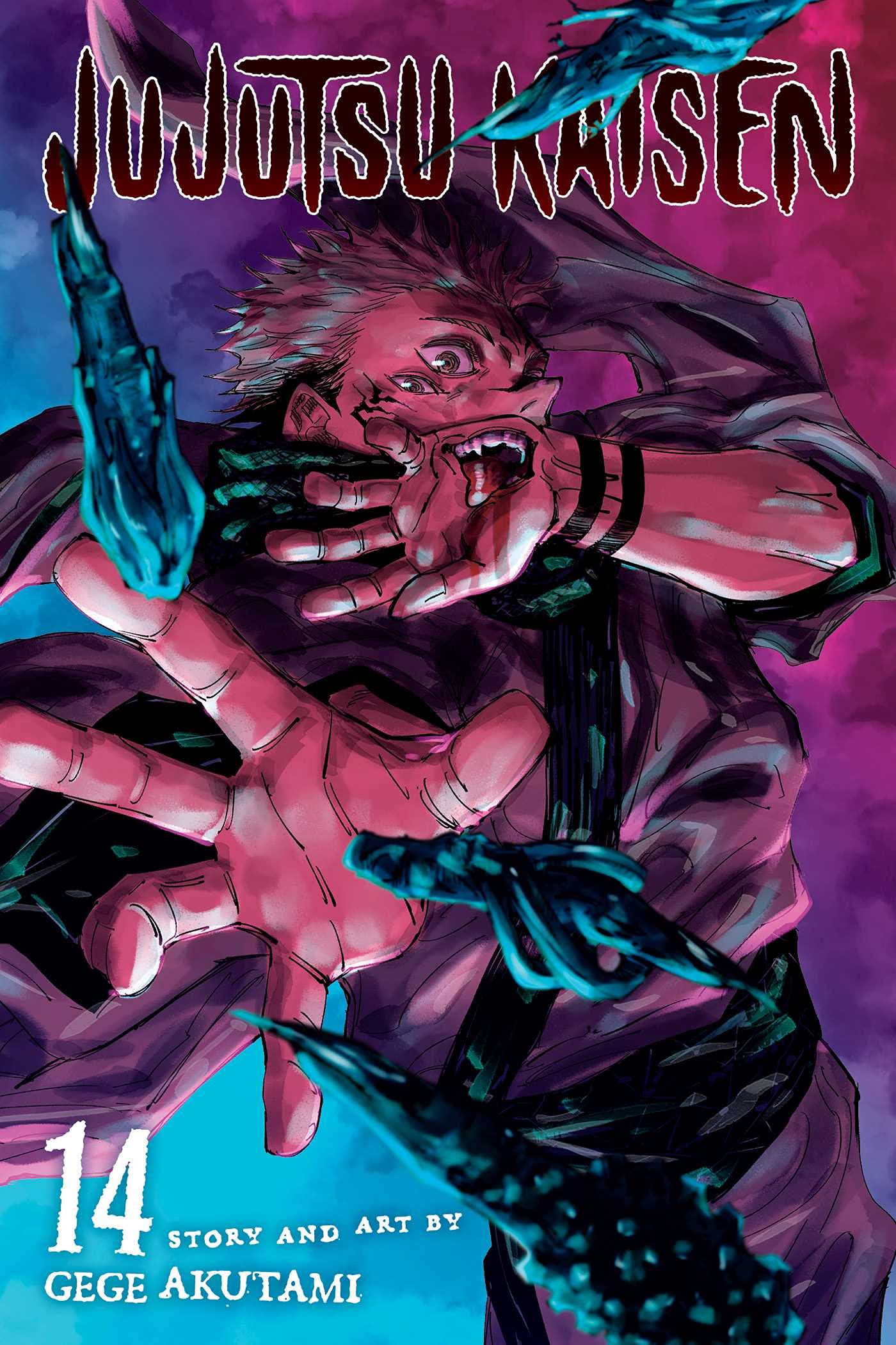 Jujutsu Kaisen, Vol. 14: Volume 14 by Akutami, Gege