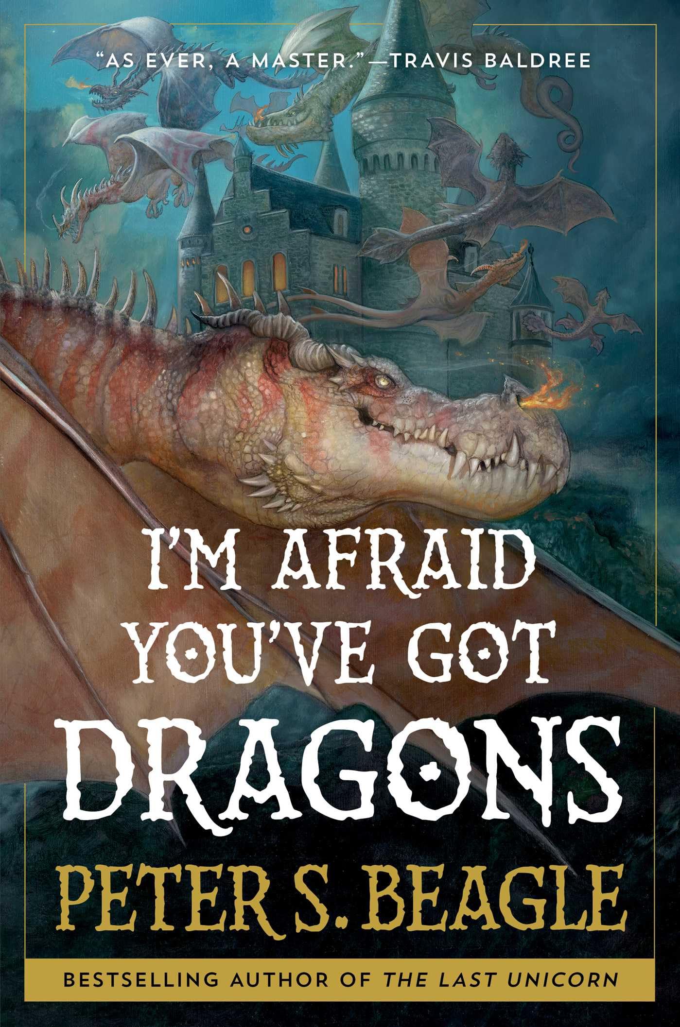 I'm Afraid You've Got Dragons by Beagle, Peter S.
