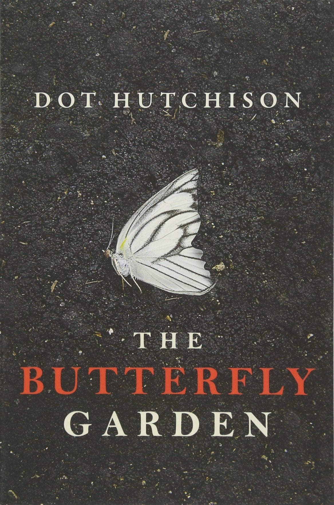 The Butterfly Garden by Hutchison, Dot