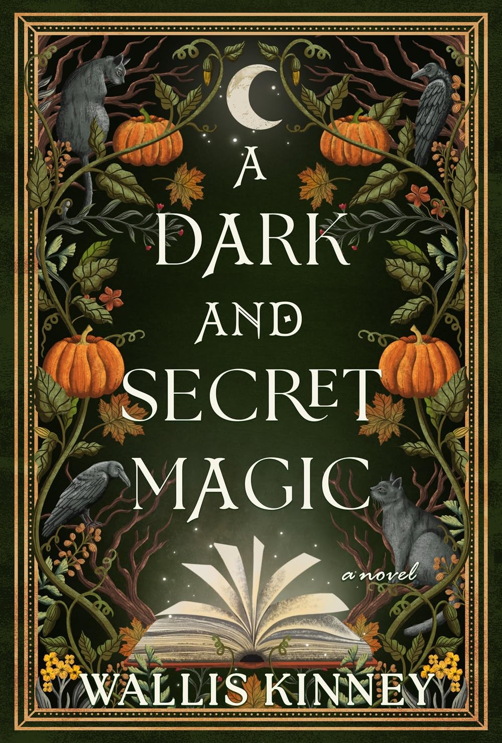 A Dark and Secret Magic by Kinney, Wallis