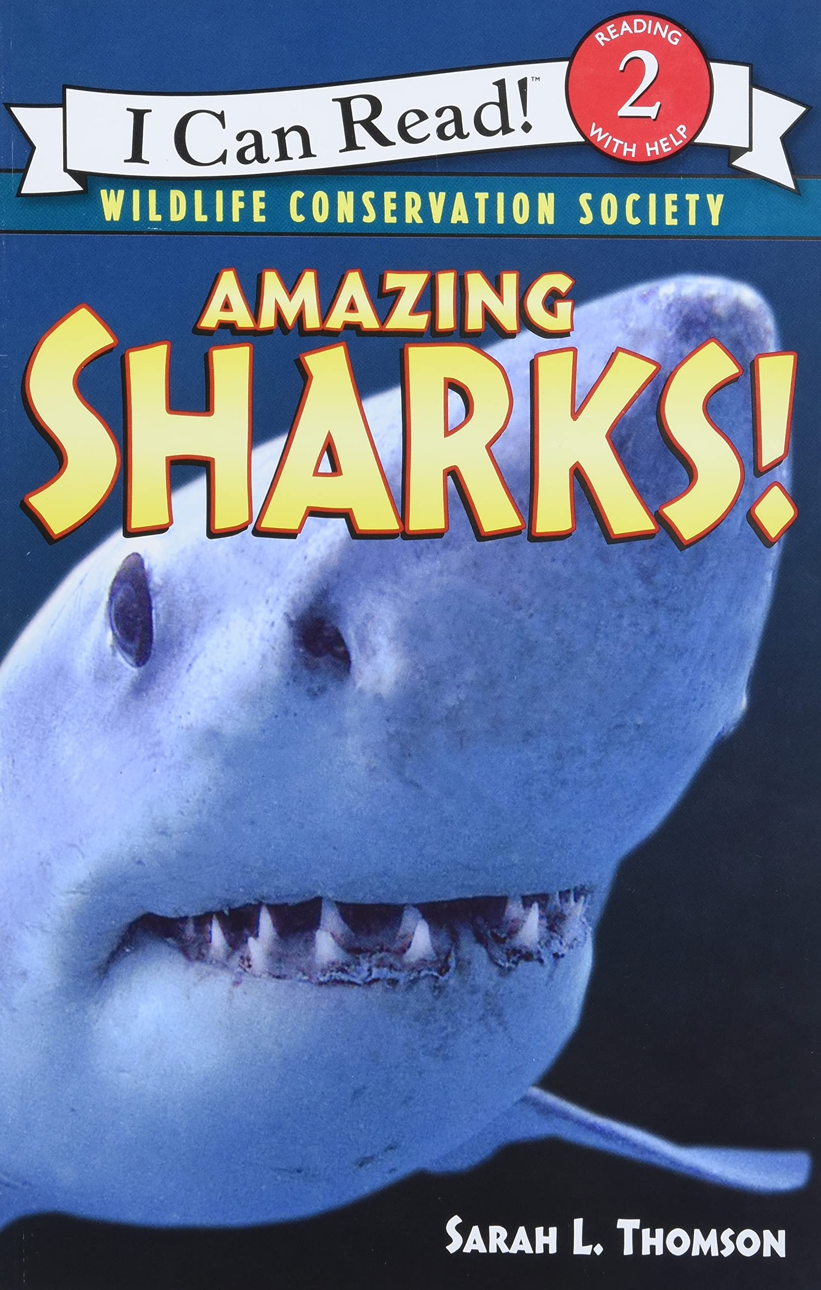 Amazing Sharks! by Thomson, Sarah L.