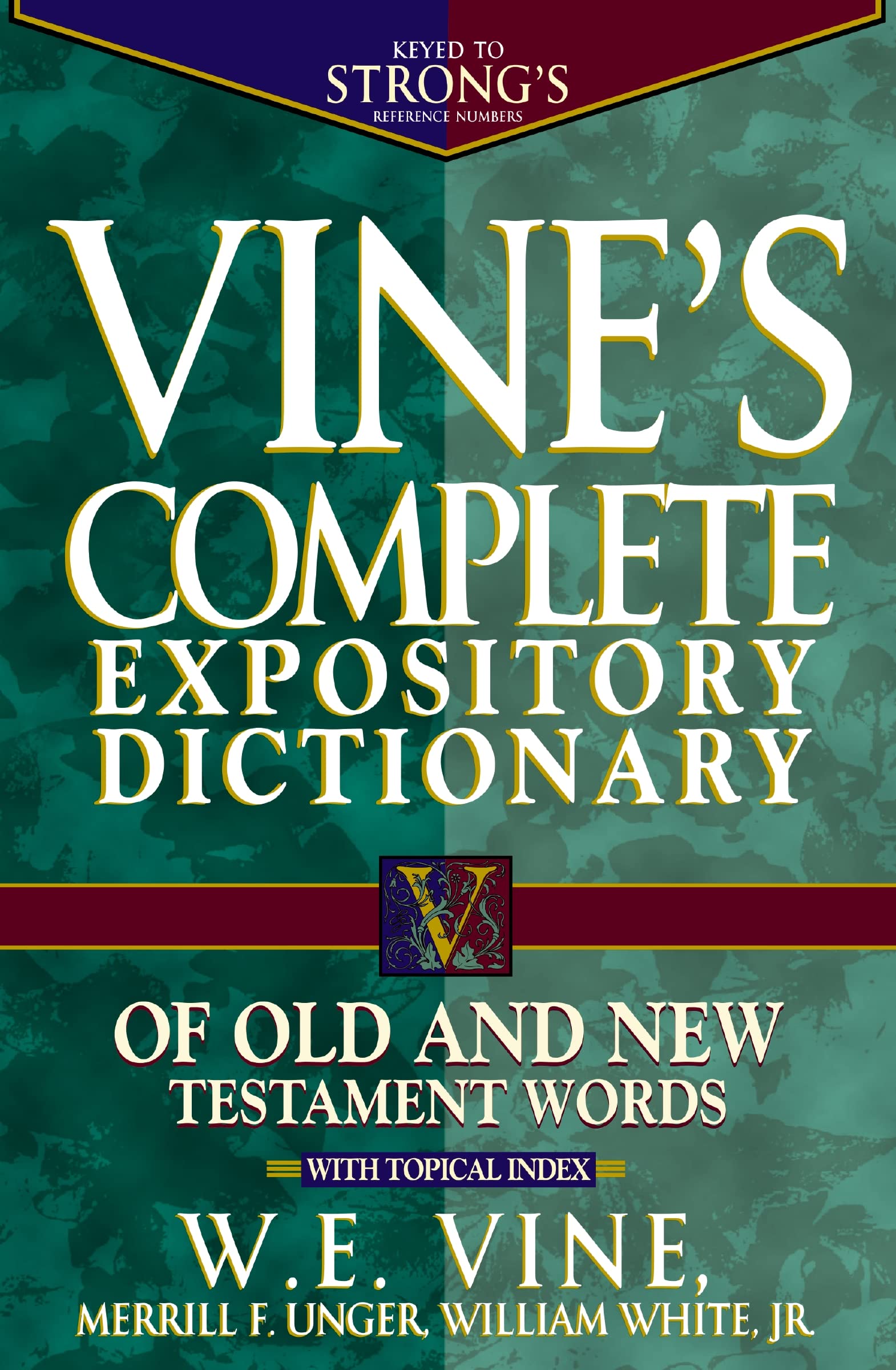 Vine's Complete Expository Dictionary of Old and New Testament Words: Super Value Edition by Vine, W. E.