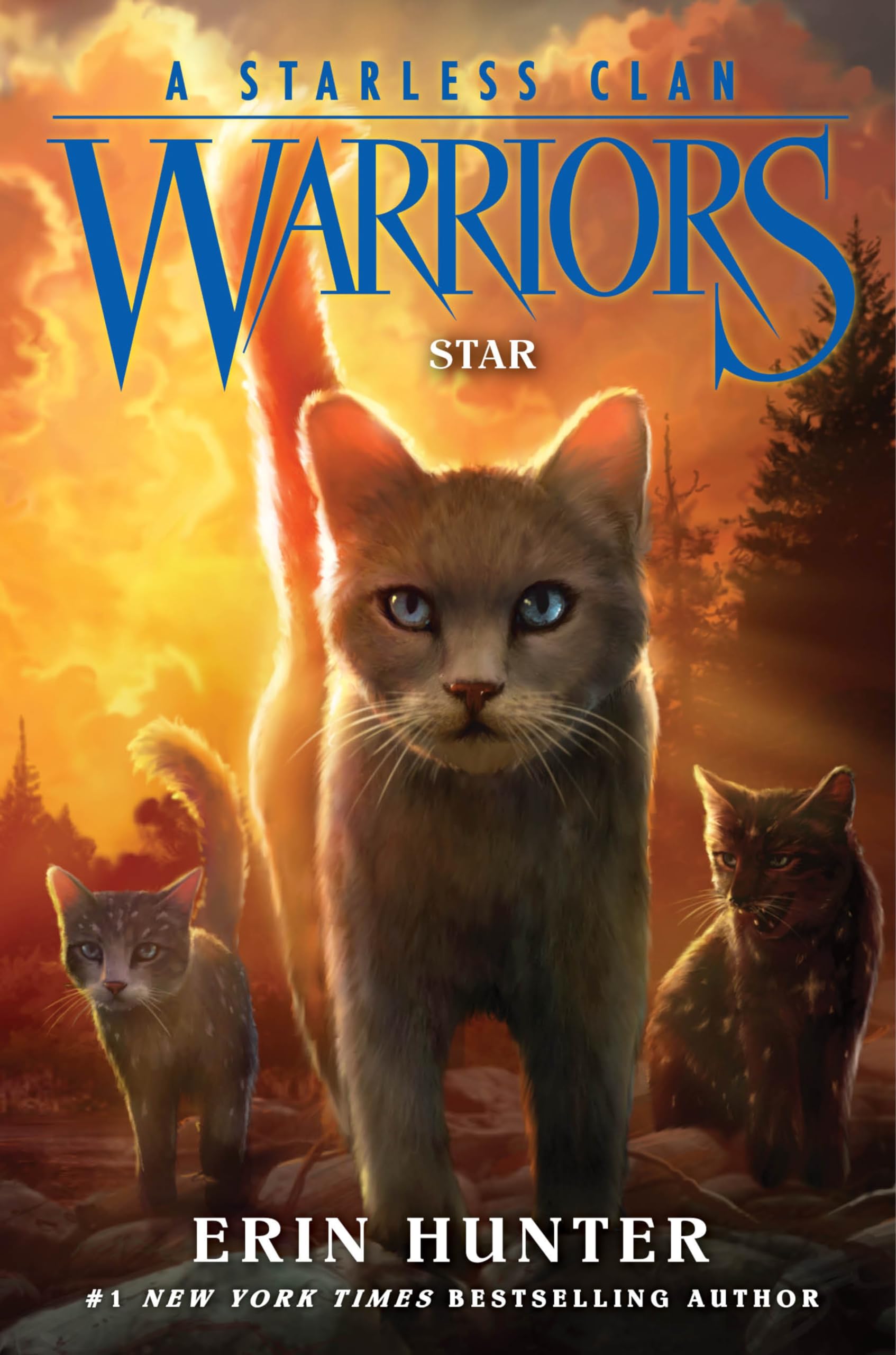 Warriors: A Starless Clan #6: Star by Hunter, Erin