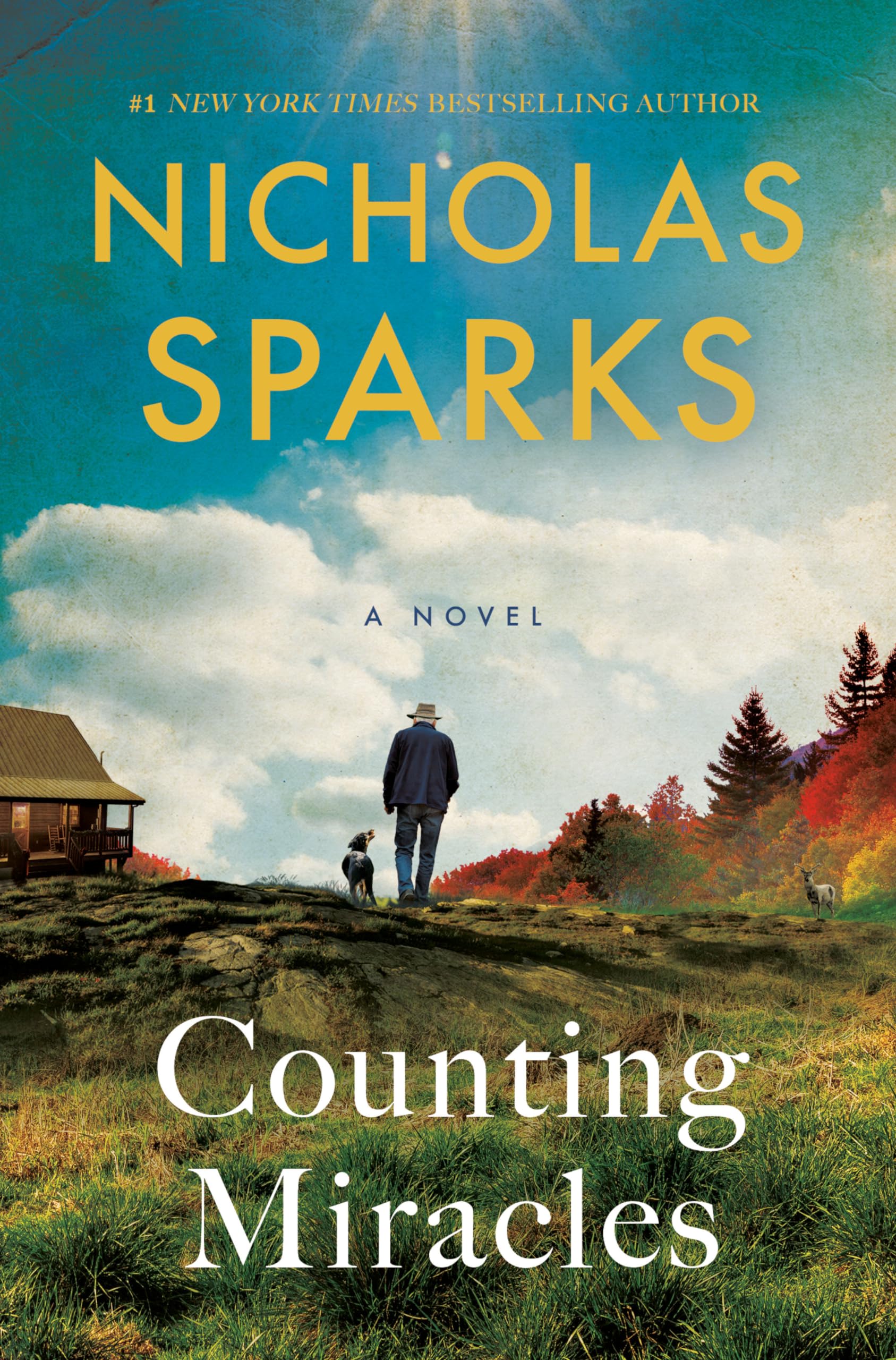 Counting Miracles by Sparks, Nicholas