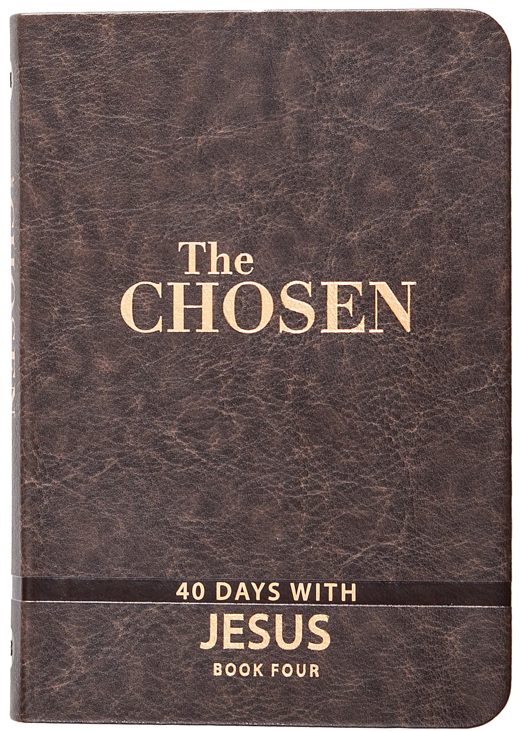 The Chosen Book Four: 40 Days with Jesus by Jenkins, Amanda