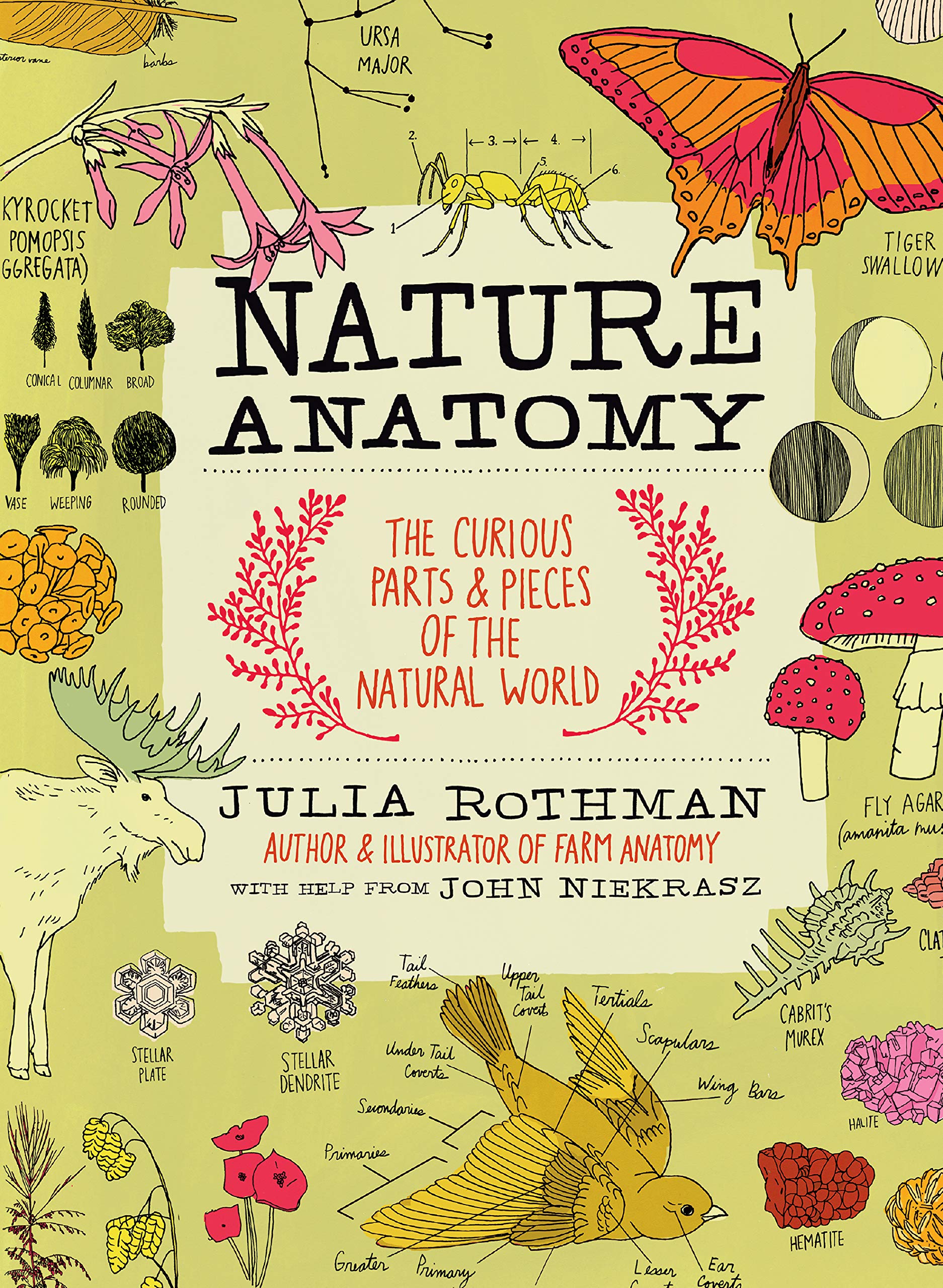 Nature Anatomy: The Curious Parts and Pieces of the Natural World by Rothman, Julia