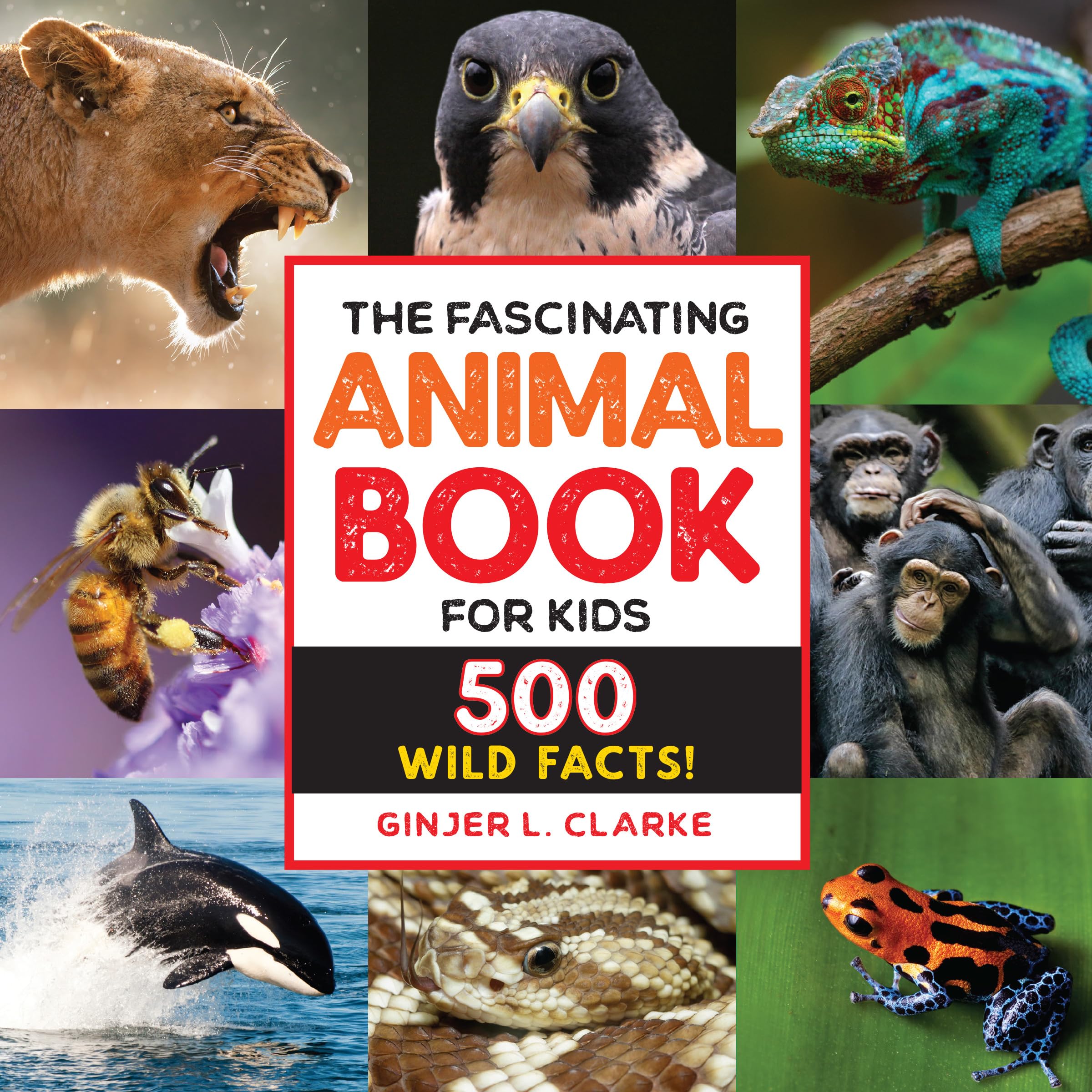 The Fascinating Animal Book for Kids: 500 Wild Facts! by Clarke, Ginjer