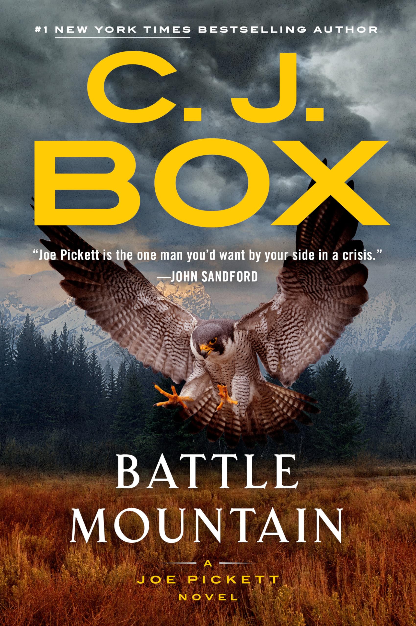 Battle Mountain by Box, C. J.