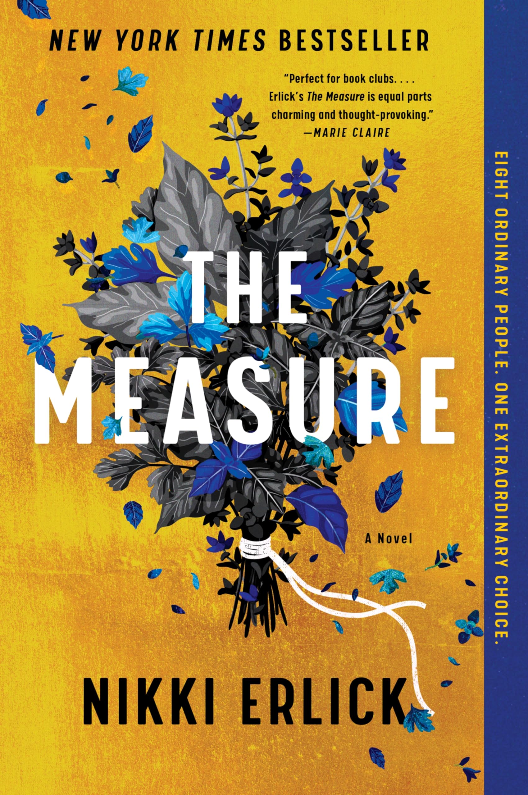 The Measure by Erlick, Nikki