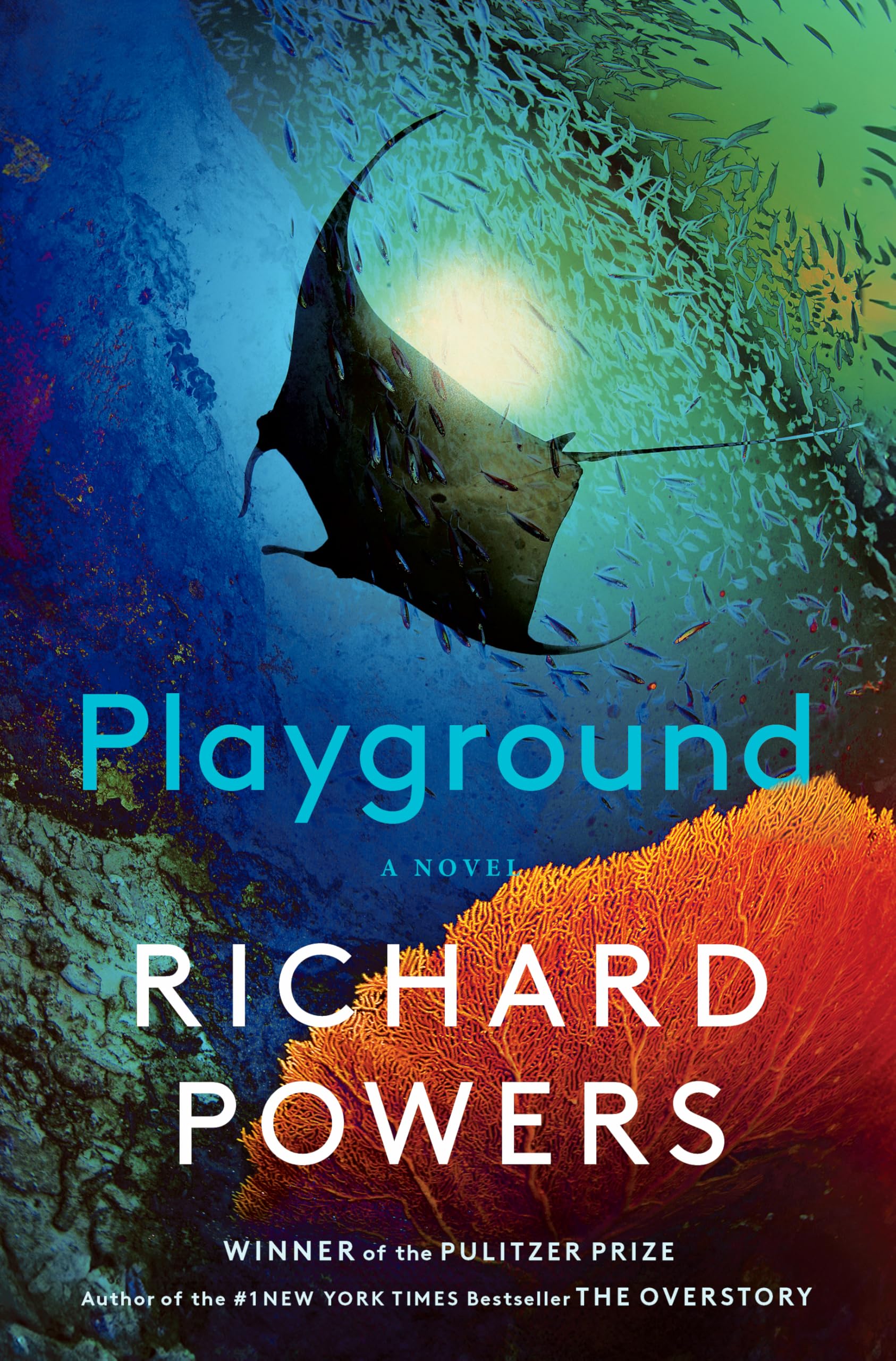 Playground by Powers, Richard