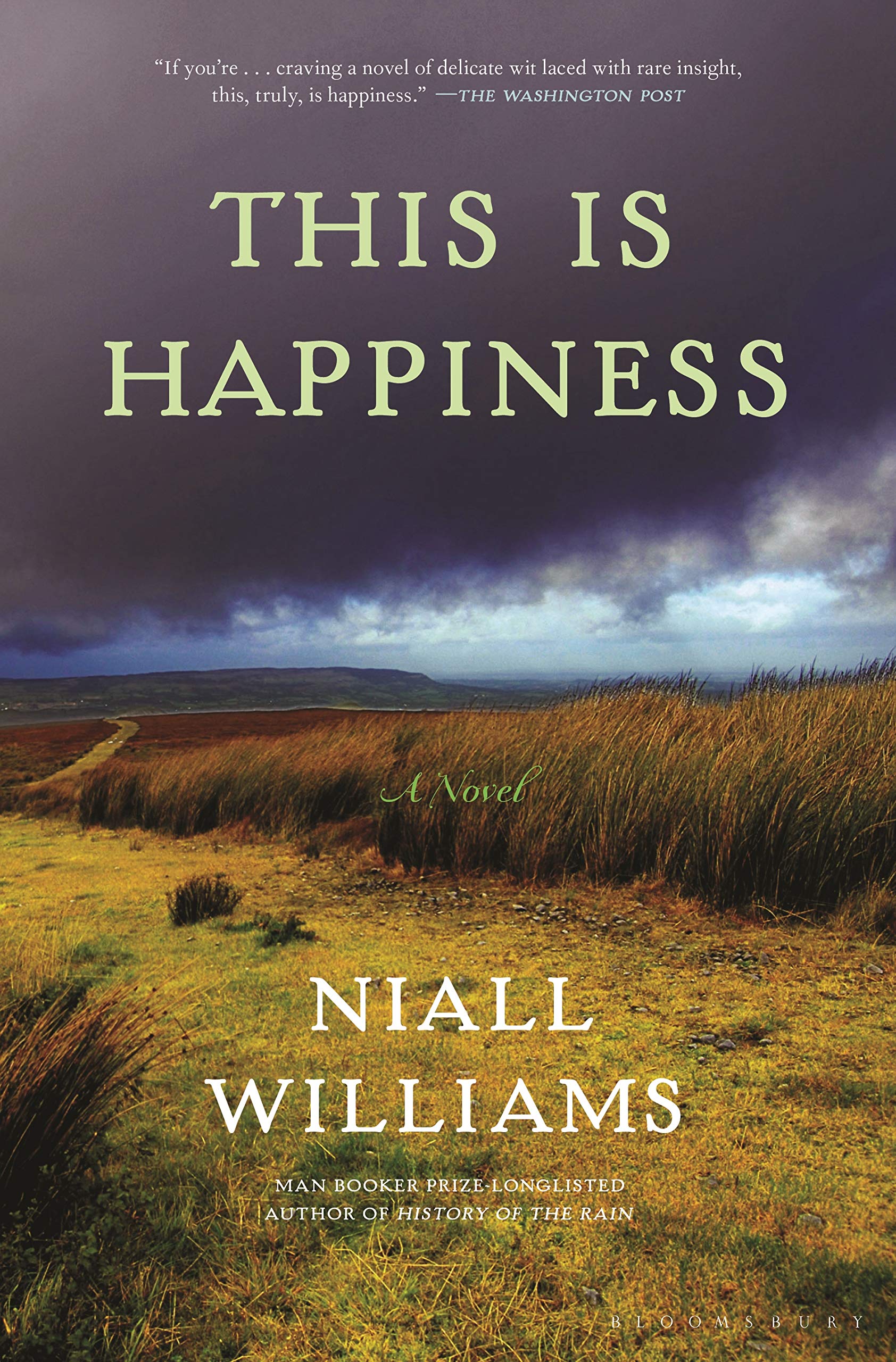 This Is Happiness by Williams, Niall