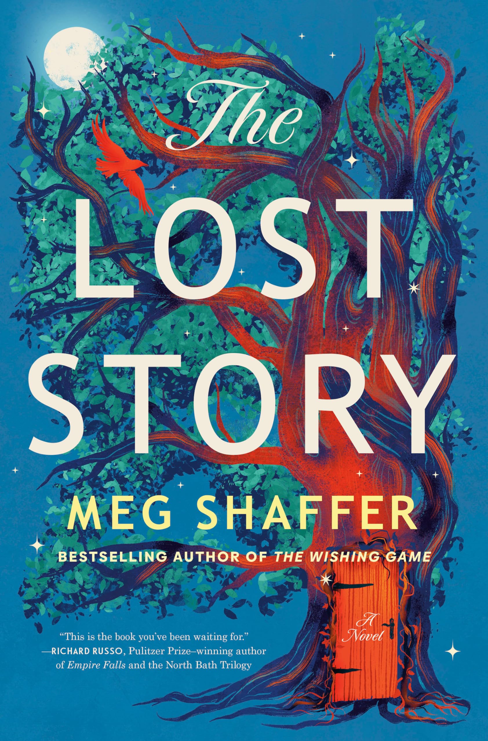 The Lost Story by Shaffer, Meg