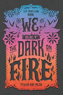 We Set the Dark on Fire by Mejia, Tehlor Kay