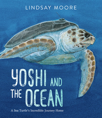Yoshi and the Ocean: A Sea Turtle's Incredible Journey Home by Moore, Lindsay