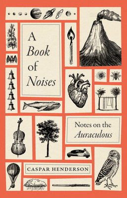 A Book of Noises: Notes on the Auraculous by Henderson, Caspar