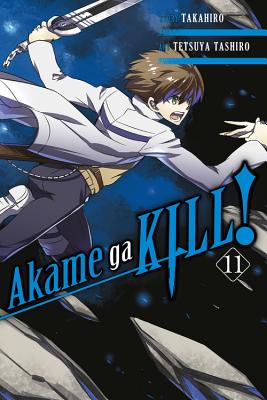 Akame Ga Kill!, Volume 11 by Takahiro