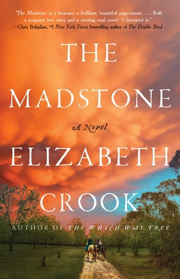 The Madstone by Crook, Elizabeth