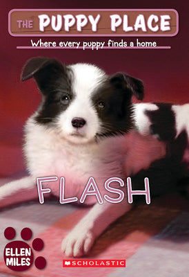 Flash (the Puppy Place #6) by Miles, Ellen