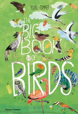 Big Book of Birds by Zommer, Yuval