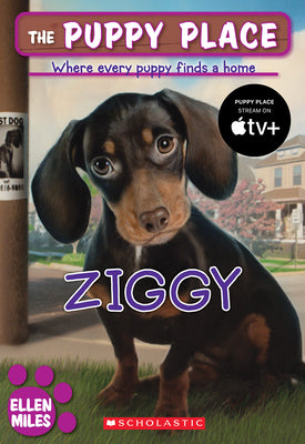Ziggy by Miles, Ellen