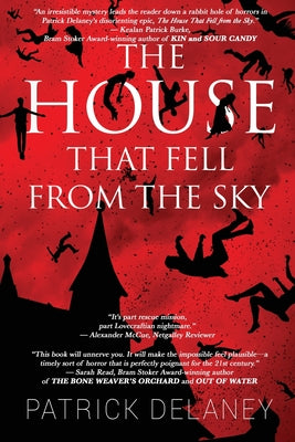 The House that fell from the Sky by Delaney, Patrick