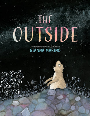 The Outside by Marino, Gianna