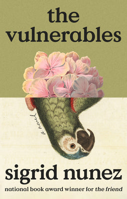 The Vulnerables by Nunez, Sigrid