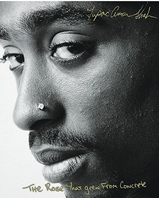 The Rose That Grew from Concrete by Shakur, Tupac