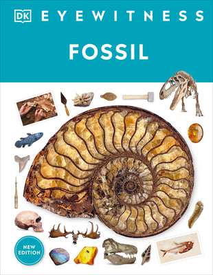 Fossil by Dk