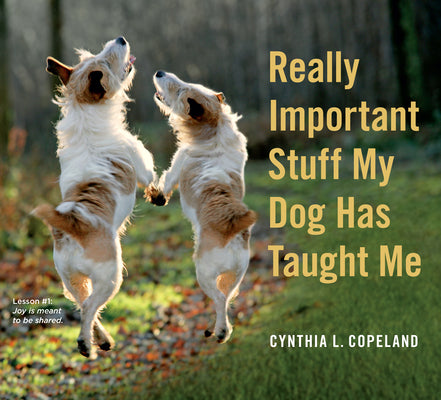 Really Important Stuff My Dog Has Taught Me by Copeland, Cynthia L.