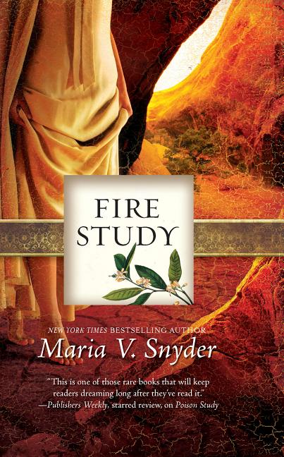Fire Study by Snyder, Maria V.