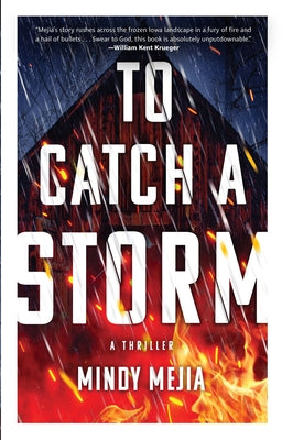 To Catch a Storm by Mejia, Mindy