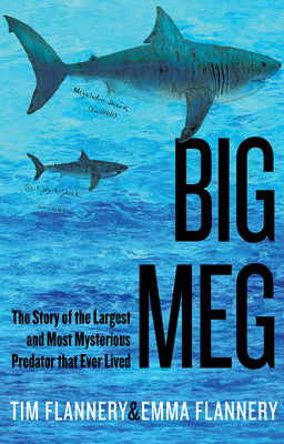 Big Meg: The Story of the Largest and Most Mysterious Predator That Ever Lived by Flannery, Tim