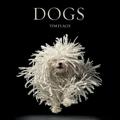 Dogs by Flach, Tim