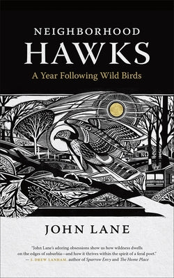 Neighborhood Hawks: A Year Following Wild Birds by Lane, John