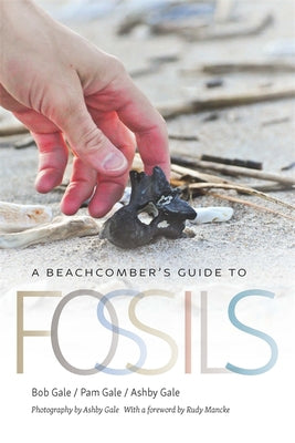 A Beachcomber's Guide to Fossils by Gale, Bob