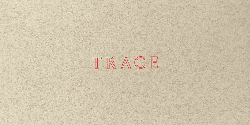 Jenny Holzer: Trace by Holzer, Jenny