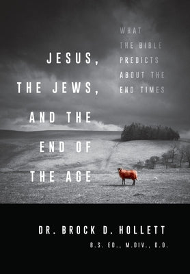 Jesus, the Jews, and the End of the Age by Hollett, Brock D.