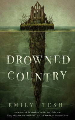 Drowned Country by Tesh, Emily
