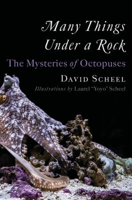Many Things Under a Rock: The Mysteries of Octopuses by Scheel, David