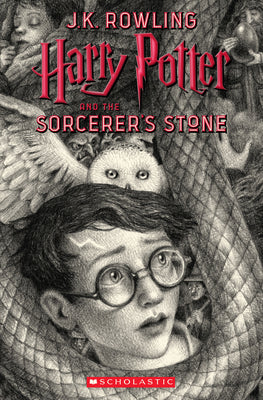 Harry Potter and the Sorcerer's Stone: Volume 1 by Selznick, Brian