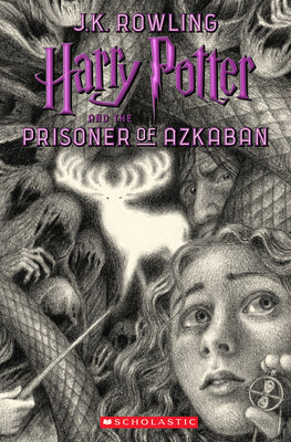 Harry Potter and the Prisoner of Azkaban: Volume 3 by Selznick, Brian