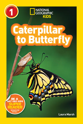 Caterpillar to Butterfly by Marsh, Laura