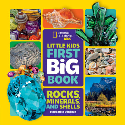Little Kids First Big Book of Rocks, Minerals & Shells by Donohue, Moira